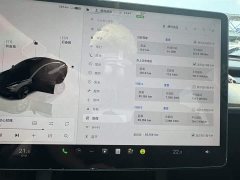 Tesla Model 3 rear-wheel drive version - фото 5