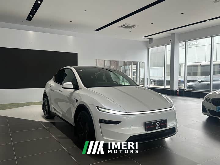 Tesla Model Y rear-wheel drive version - автомобиль из Китая