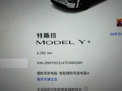 Tesla Model Y rear-wheel drive version - фото 5
