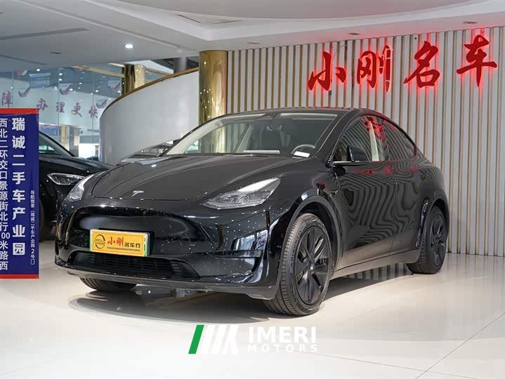 Tesla Model Y rear-wheel drive version - автомобиль из Китая