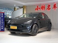 Tesla Model Y rear-wheel drive version - фото 1