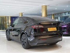 Tesla Model Y rear-wheel drive version - фото 13