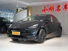 Tesla Model Y rear-wheel drive version - фото 2