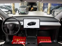 Tesla Model Y rear-wheel drive version - фото 4