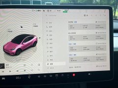 Tesla Model Y rear-wheel drive version - фото 13