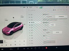 Tesla Model Y rear-wheel drive version - фото 14