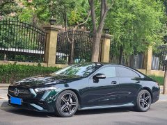 Mercedes-Benz CLS 300 Dynamic - фото 1