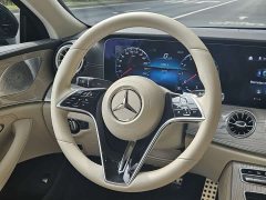 Mercedes-Benz CLS 300 Dynamic - фото 11