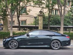 Mercedes-Benz CLS 300 Dynamic - фото 2