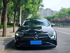Mercedes-Benz CLS 300 Dynamic - фото 4