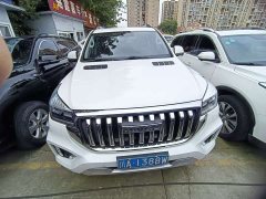 Haval H9 2022 2.0T gasoline four-wheel drive comfort 7 seats - фото 2