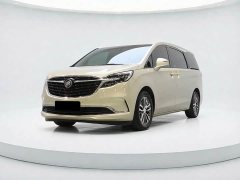Buick GL8 ES Lu Zun 653T Exclusive - фото 1