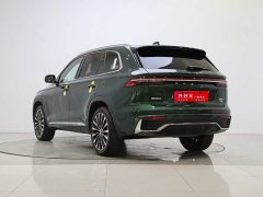 Geely Xingyue L Oriental Glory 2.0TD Automatic AWD Wangyue Edition - фото 6