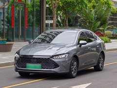 BYD Qin PLUS 2021 DM-i 55KM flagship - фото 1