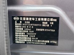 BYD Qin PLUS 2021 DM-i 55KM flagship - фото 10