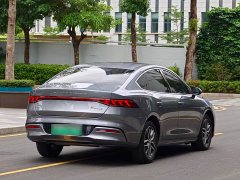 BYD Qin PLUS 2021 DM-i 55KM flagship - фото 11