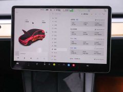 Tesla Model Y 2021 standard range rear-wheel drive version - фото 19