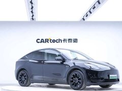 Tesla Model Y 2021 standard range rear-wheel drive version - фото 3