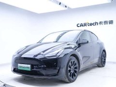 Tesla Model Y 2021 standard range rear-wheel drive version - фото 4