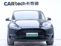Tesla Model Y 2021 standard range rear-wheel drive version - фото 6