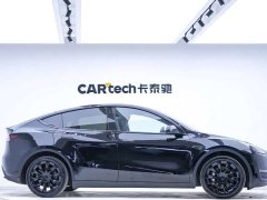 Tesla Model Y 2021 standard range rear-wheel drive version - фото 8