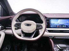 Geely Xingyue L 2021 2.0TD DCT EVO two-wheel drive premium - фото 18
