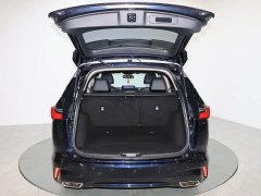 Lexus Haoying 2023 240TURBO two-wheel drive luxury version 5 seats - фото 13