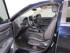 Lexus Haoying 2023 240TURBO two-wheel drive luxury version 5 seats - фото 9