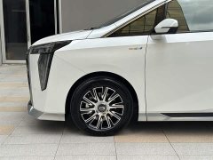 Trumpchi E9 Champion Edition - фото 18