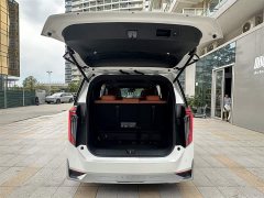 Trumpchi E9 Champion Edition - фото 20