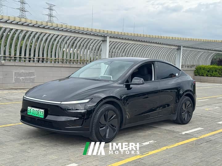 Tesla Model Y long-range all-wheel drive version - автомобиль из Китая