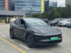 Tesla Model Y long-range all-wheel drive version - фото 3