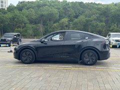 Tesla Model Y long-range all-wheel drive version - фото 7