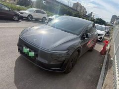 Tesla Model Y rear-wheel drive version - фото 6