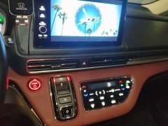 Lexus Alison 2.0L e:HEV Extreme Edition - фото 14
