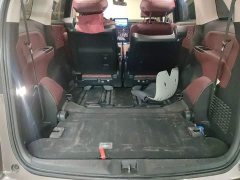 Lexus Alison 2.0L e:HEV Extreme Edition - фото 20