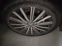 Lexus Alison 2.0L e:HEV Extreme Edition - фото 8