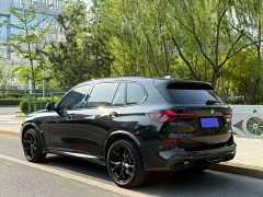 BMW X5 2023 xDrive 30Li Exclusive M Sports Night Package - фото 16