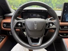 BMW Aviator 2023 3.0T V6 four-wheel drive exclusive cruise version, six seats - фото 13