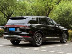 BMW Aviator 2023 3.0T V6 four-wheel drive exclusive cruise version, six seats - фото 5