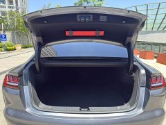Lexus Han 2020 DM four-wheel drive performance version luxury - фото 12