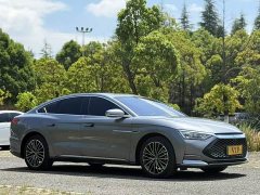 Lexus Han 2020 DM four-wheel drive performance version luxury - фото 3