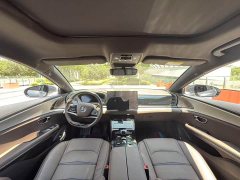 Lexus Han 2020 DM four-wheel drive performance version luxury - фото 9