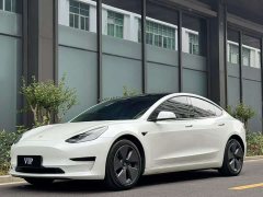 Tesla Model 3 2022 rear-wheel drive version - фото 1