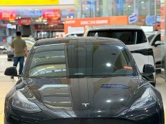 Tesla Model 3 rear-wheel drive version - фото 2
