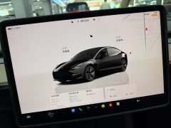 Tesla Model 3 rear-wheel drive version - фото 6