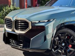 BMW XM 2023 Base - фото 18