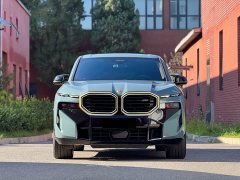 BMW XM 2023 Base - фото 2