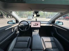 Tesla Model Y long-range all-wheel drive version - фото 14