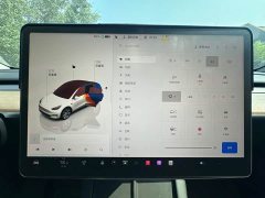 Tesla Model Y long-range all-wheel drive version - фото 15